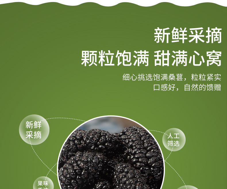 桑葚干详情新02_08.jpg