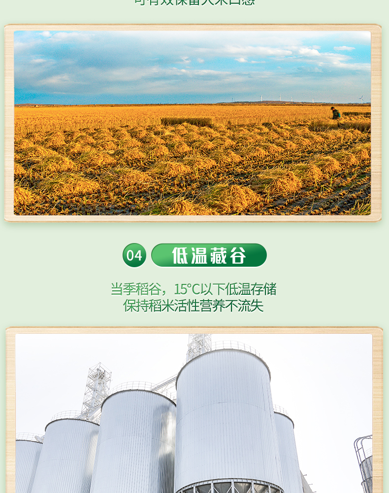 060-最终1_10.jpg
