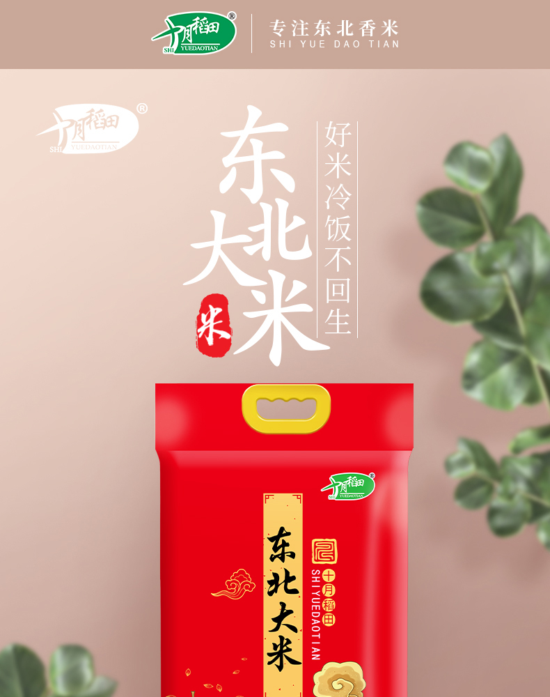 8290详情页_01.jpg