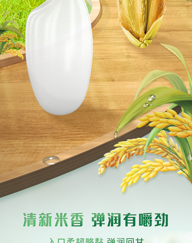 060-最终1_02.jpg