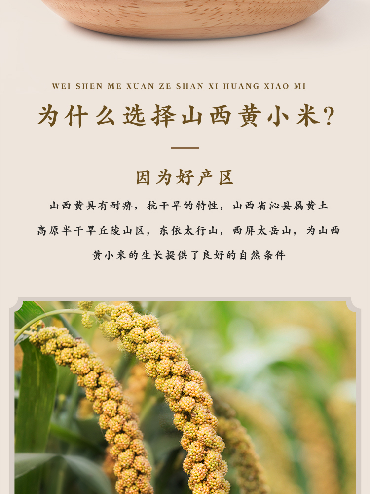 山西黄小米500g_03.jpg