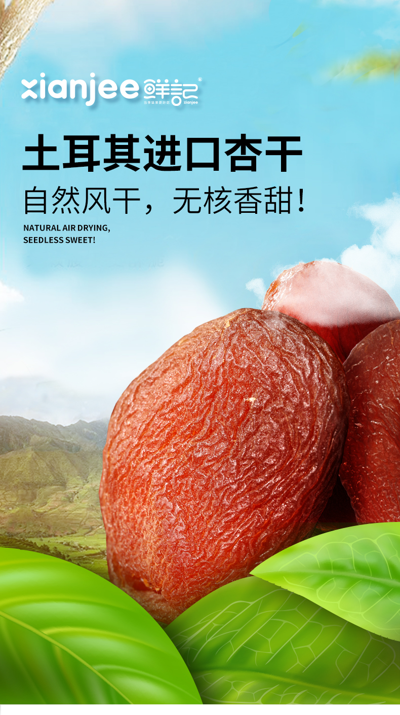 鲜记土耳其杏干01.jpg
