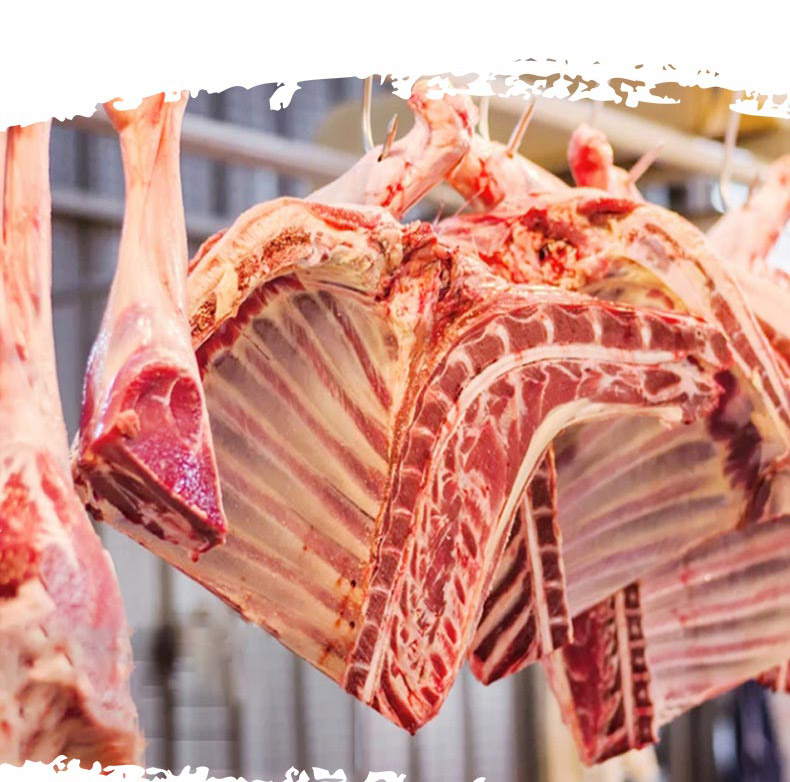 羊肉C_06.jpg