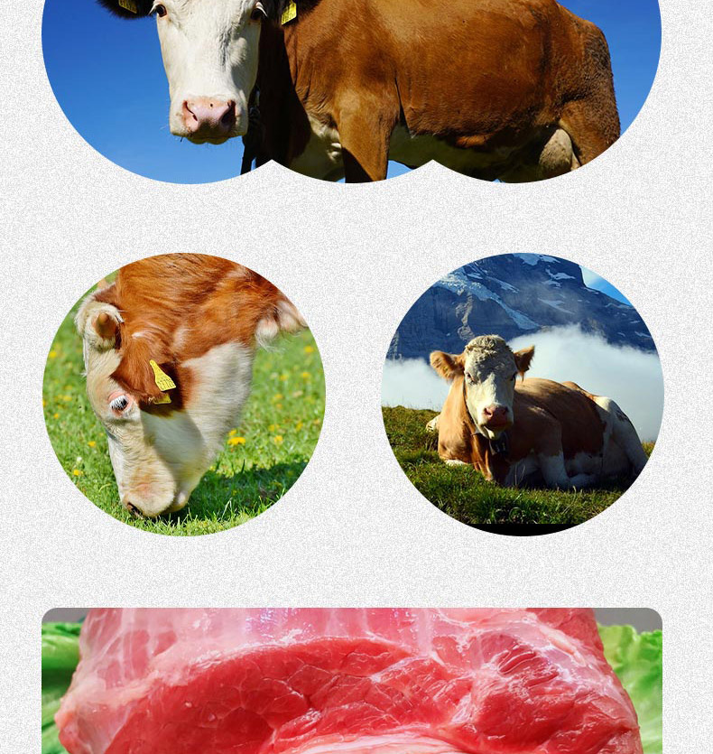 牛肉A_05.jpg