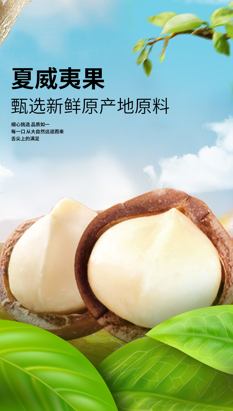 夏威夷果01.jpg