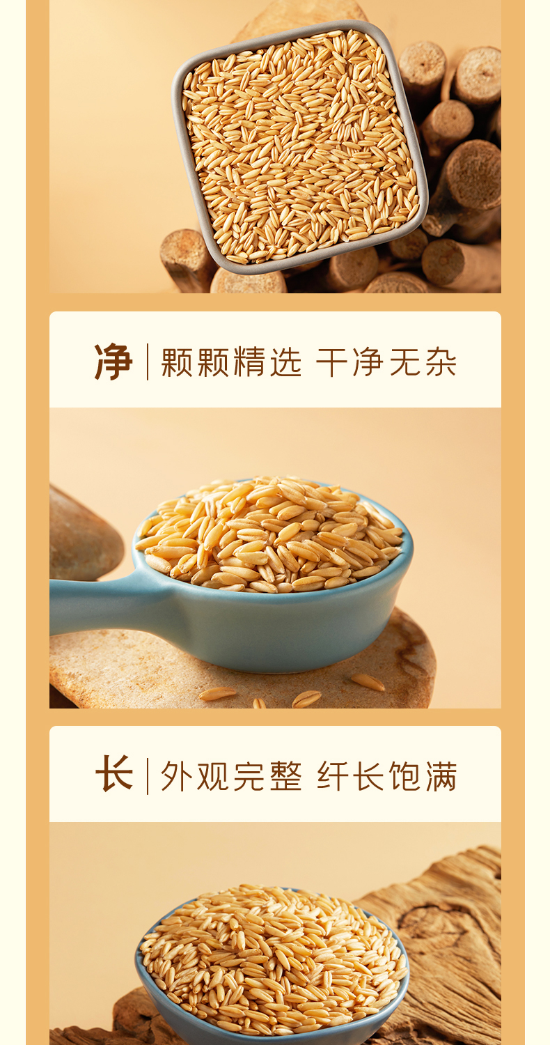 燕麦米改_05.jpg