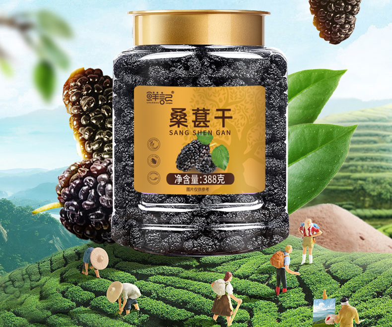 桑葚干详情新02_02.jpg