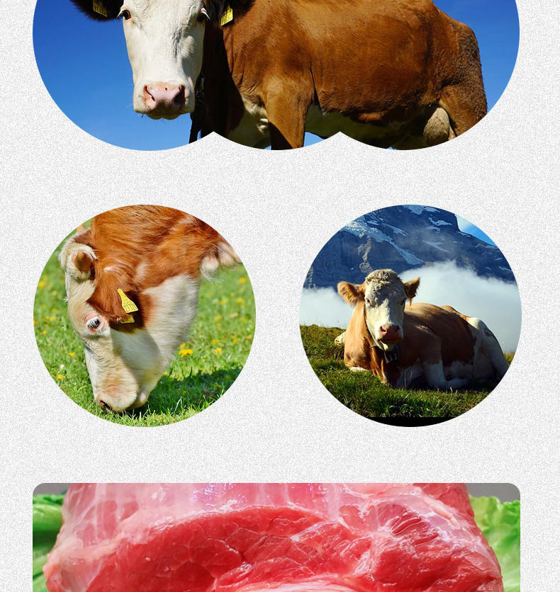 牛肉C_05.jpg