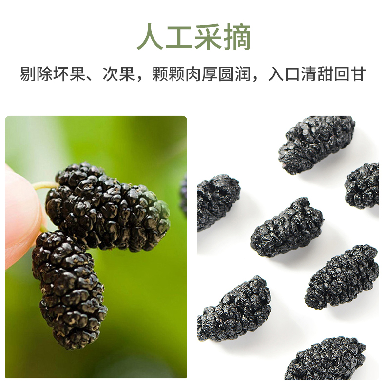 桑葚干详情新02_10.jpg