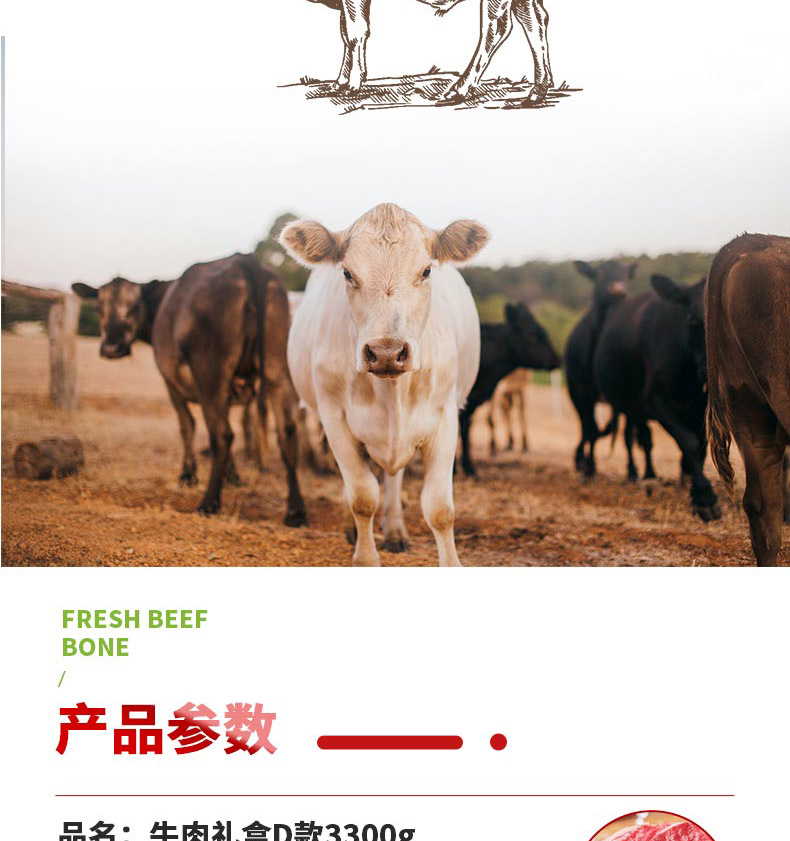 牛肉D_03.jpg