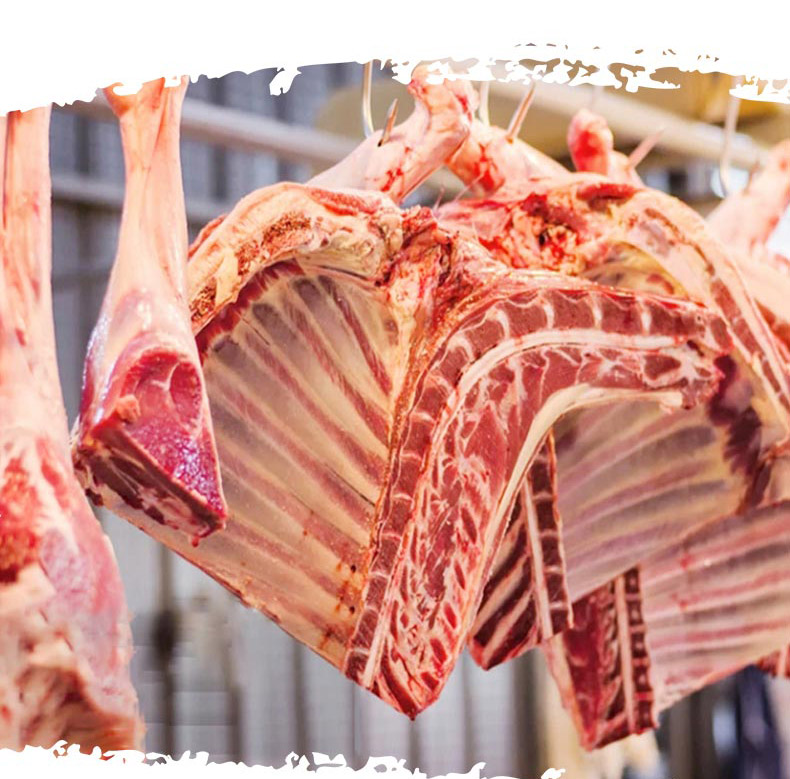 羊肉B_06.jpg