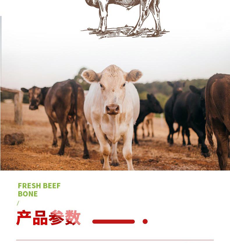 牛肉A_03.jpg
