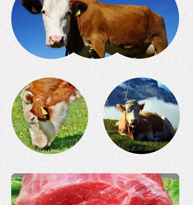 牛肉D_05.jpg