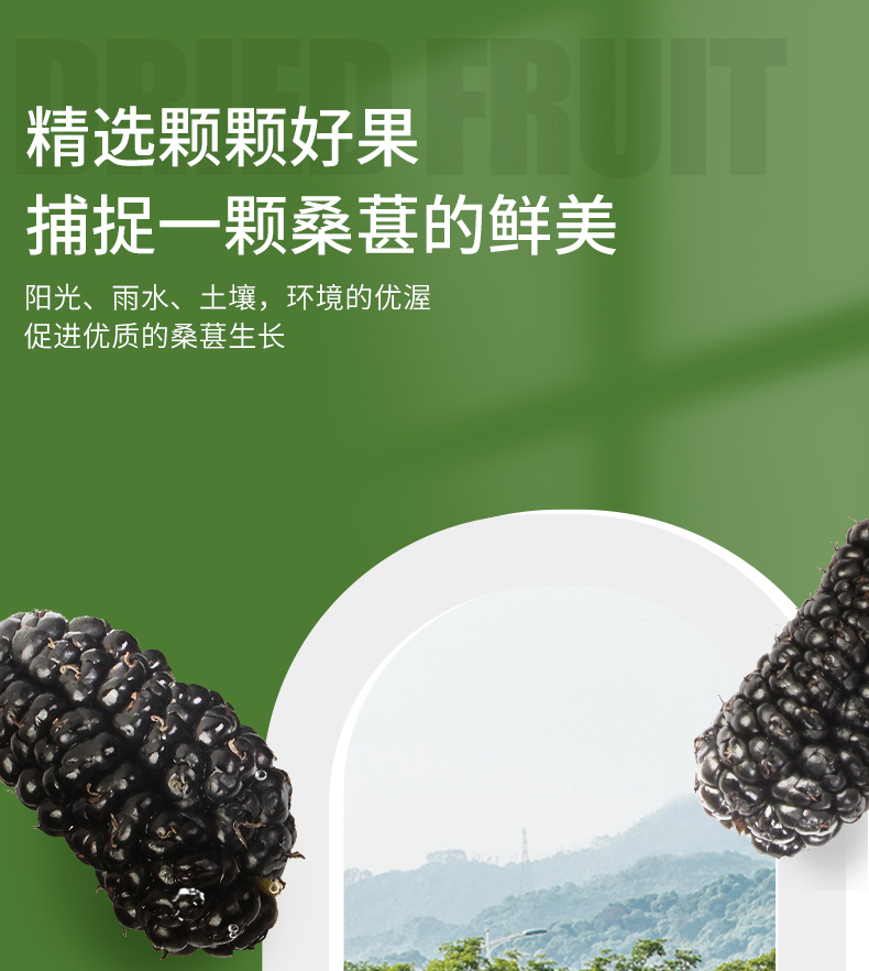 桑葚干详情新02_06.jpg