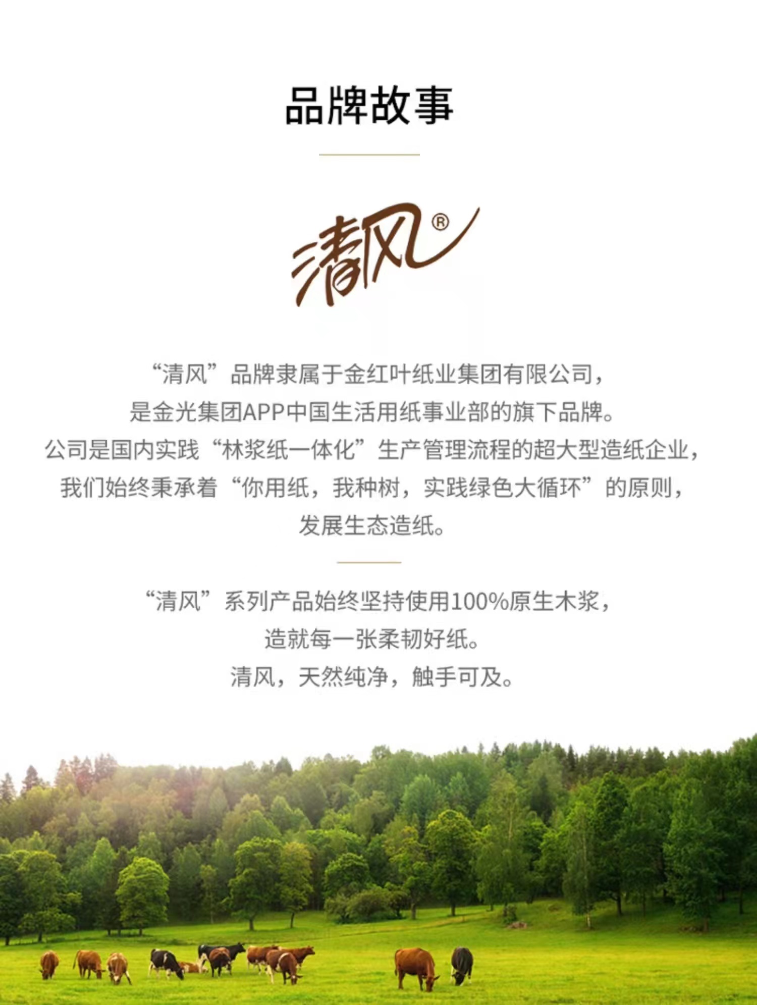 详情5.jpg