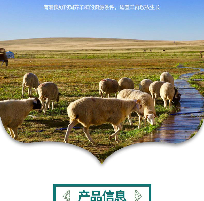 羊肉A_04.jpg