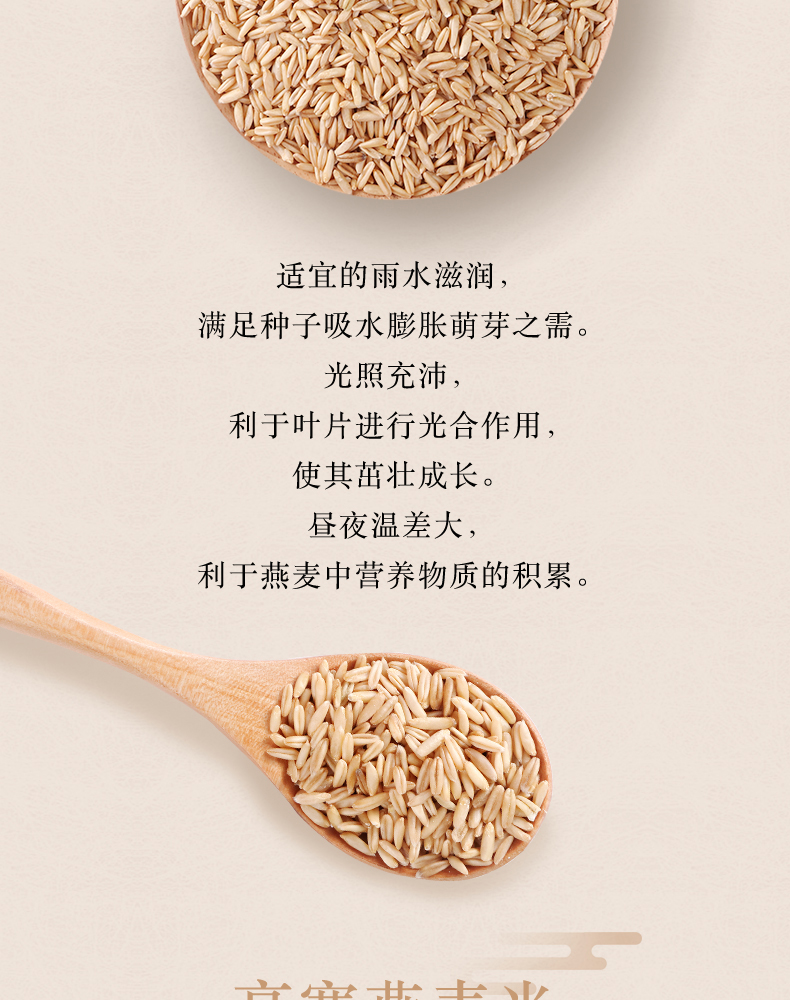 柴火大院_燕麦_04.jpg