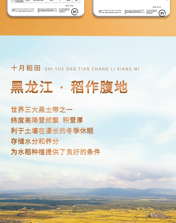 长粒香_03.jpg