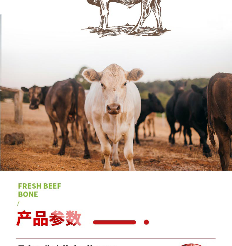 牛肉C_03.jpg