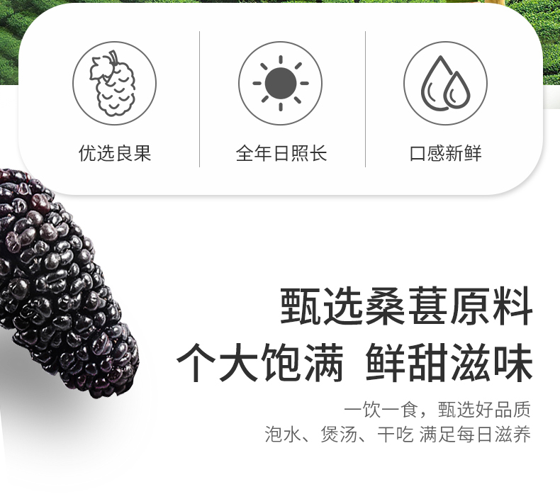 桑葚干详情新02_03.jpg