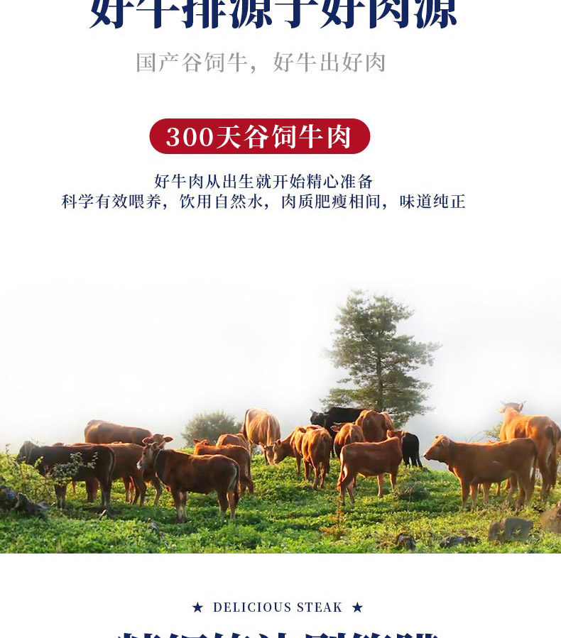 调理牛排B_05.jpg