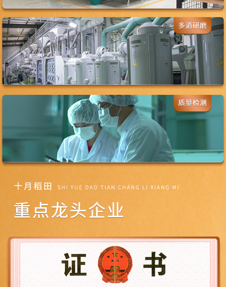 长粒香_12.jpg