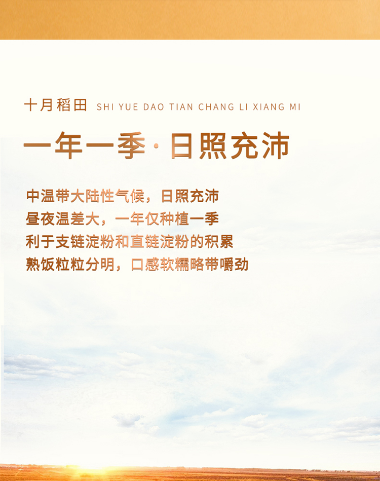 长粒香_07.jpg