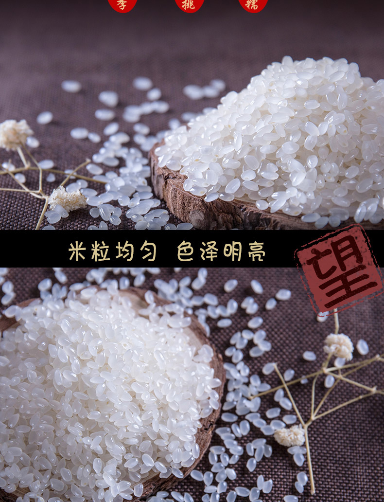 珍珠米_02.jpg