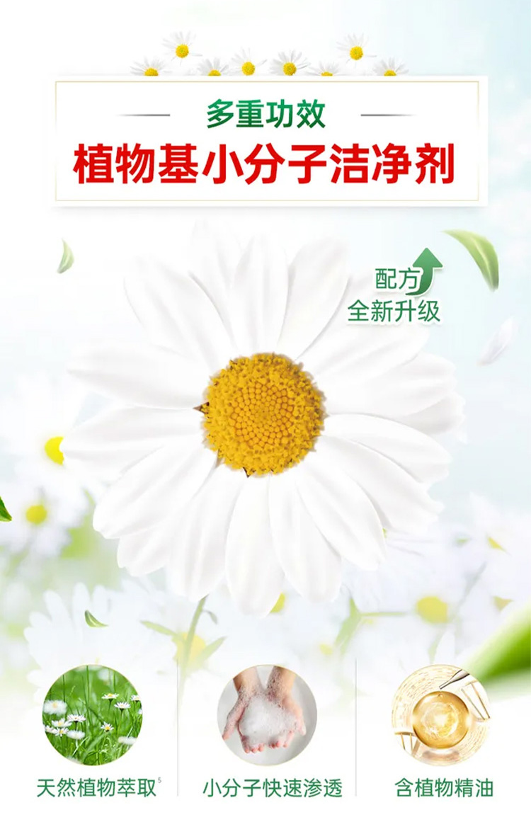 详情-06.jpg