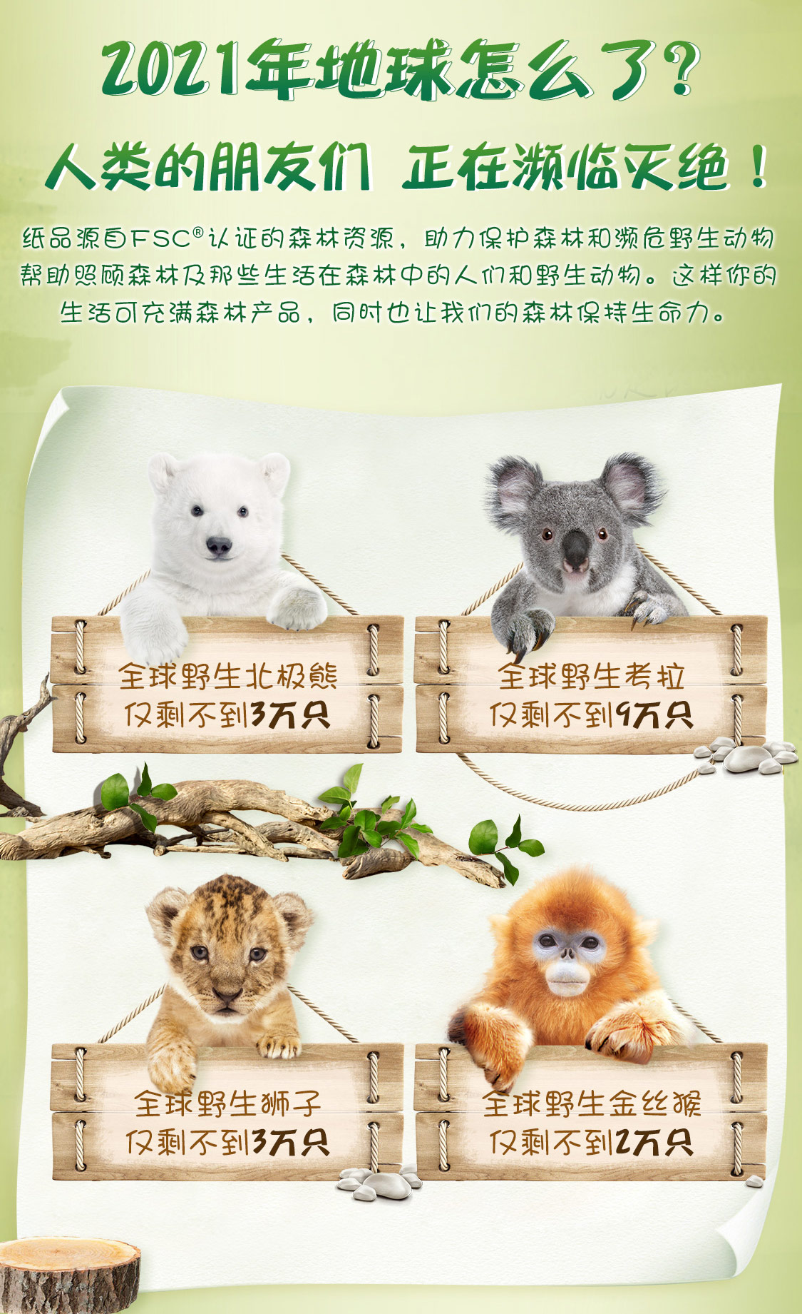 详情-10.jpg