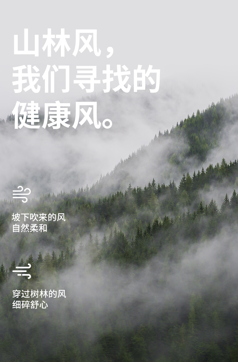 详情-02.jpg