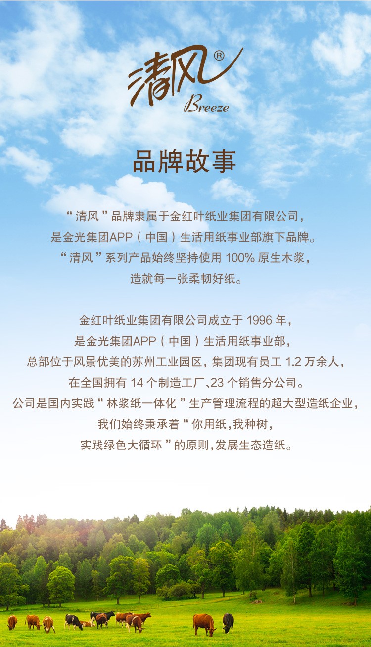 详情图_11_GS20240629000050.jpg