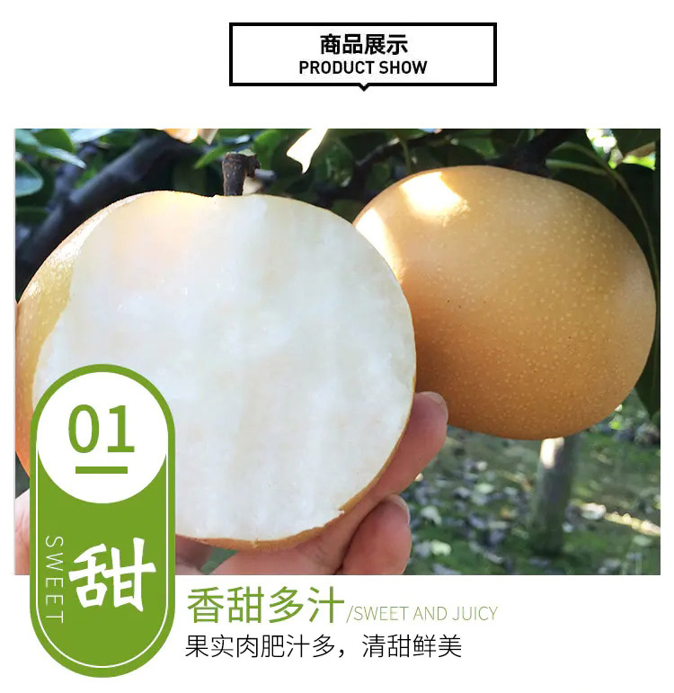 详情图_6_GS20240814000010.jpg