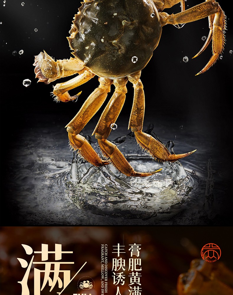 详情图_13_GS20240621000054.jpg