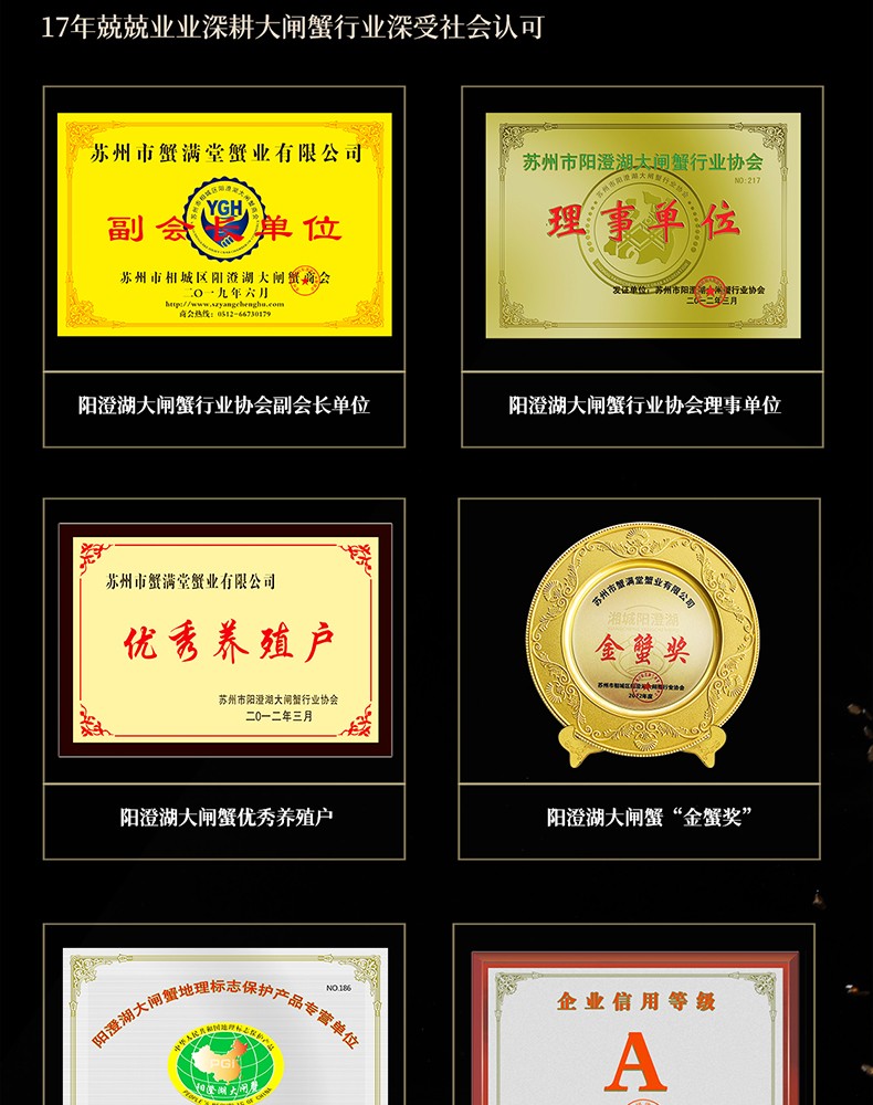 详情图_26_GS20240621000054.jpg
