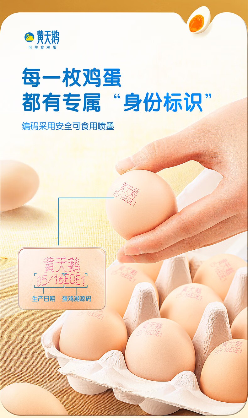 详情图_21_GS20240222000009.jpg