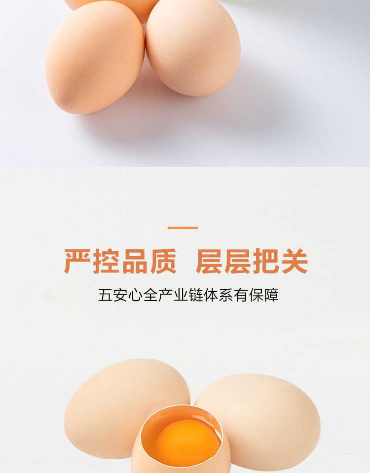 详情图_2_GS20240222000031.jpg