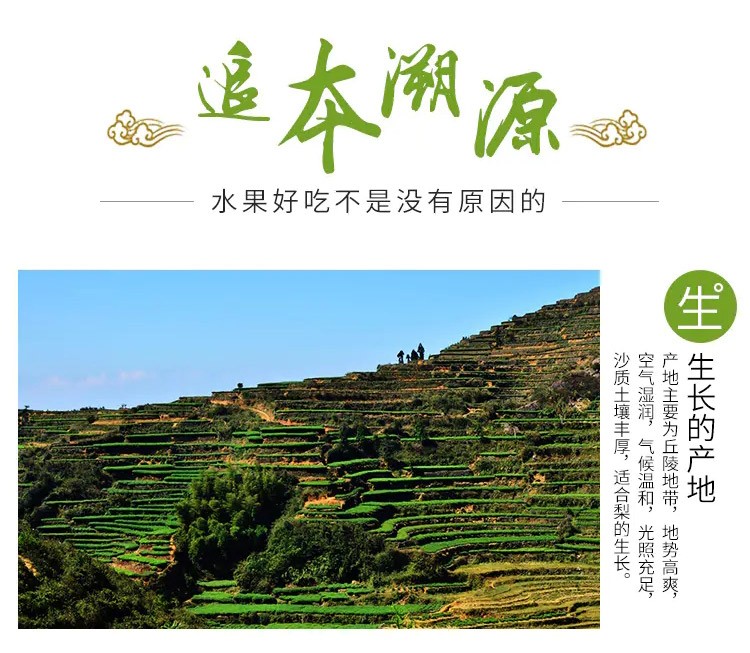 详情图_2_GS20240814000010.jpg