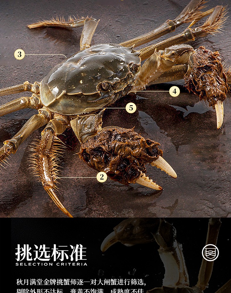 详情图_21_GS20240621000054.jpg