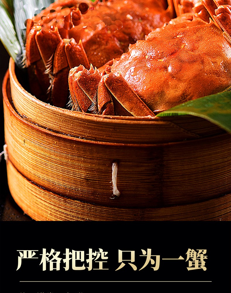 详情图_17_GS20240621000054.jpg
