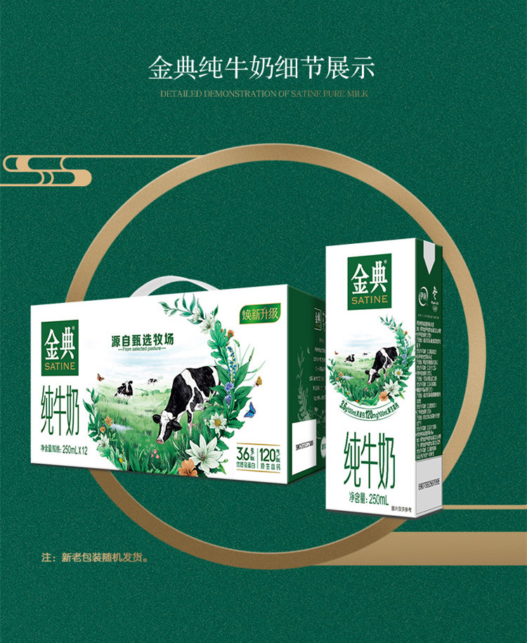 详情图_8_GS20220928026647.jpg