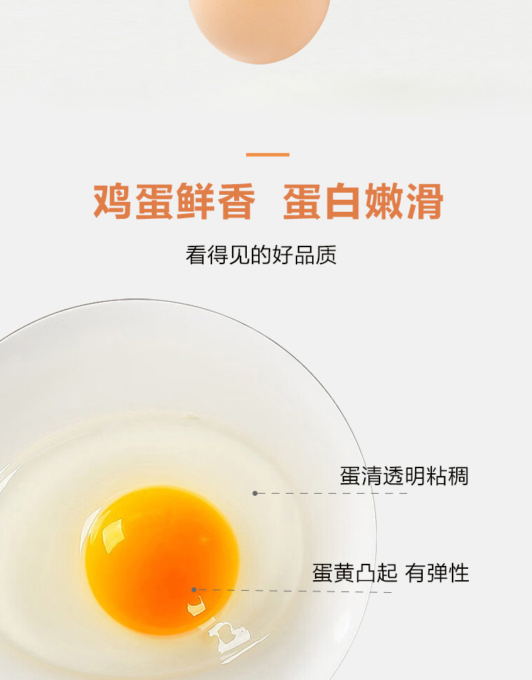 详情图_3_GS20240222000031.jpg