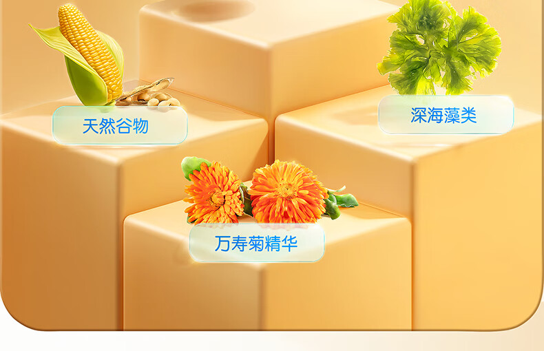 详情图_12_GS20240222000009.jpg