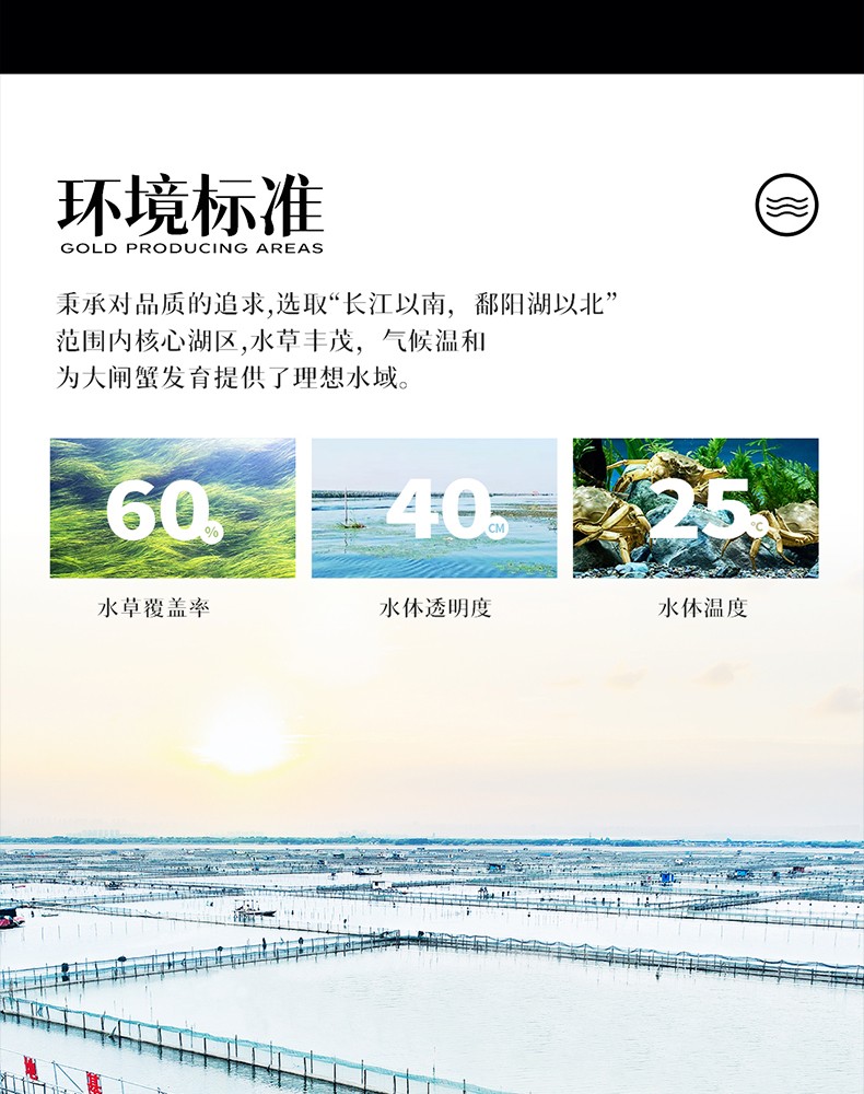 详情图_19_GS20240621000054.jpg