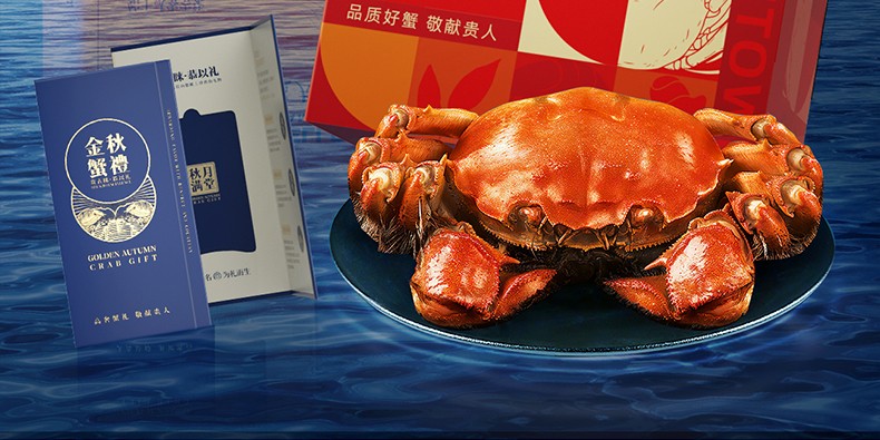 详情图_2_GS20240621000054.jpg