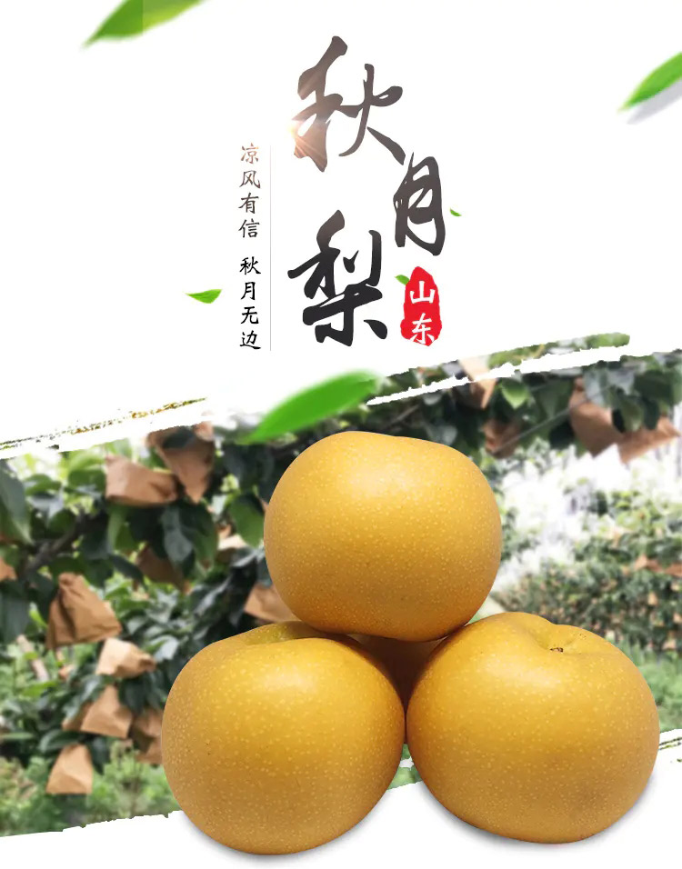 详情图_1_GS20240814000010.jpg