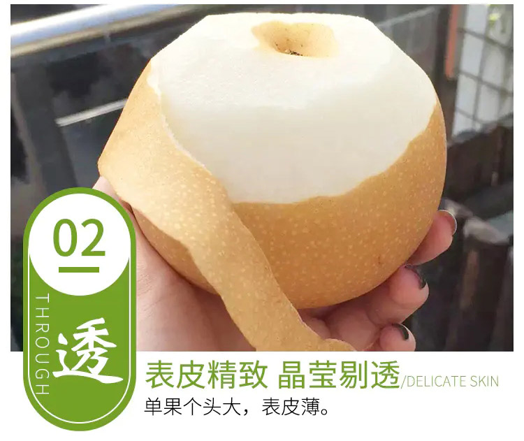 详情图_7_GS20240814000010.jpg