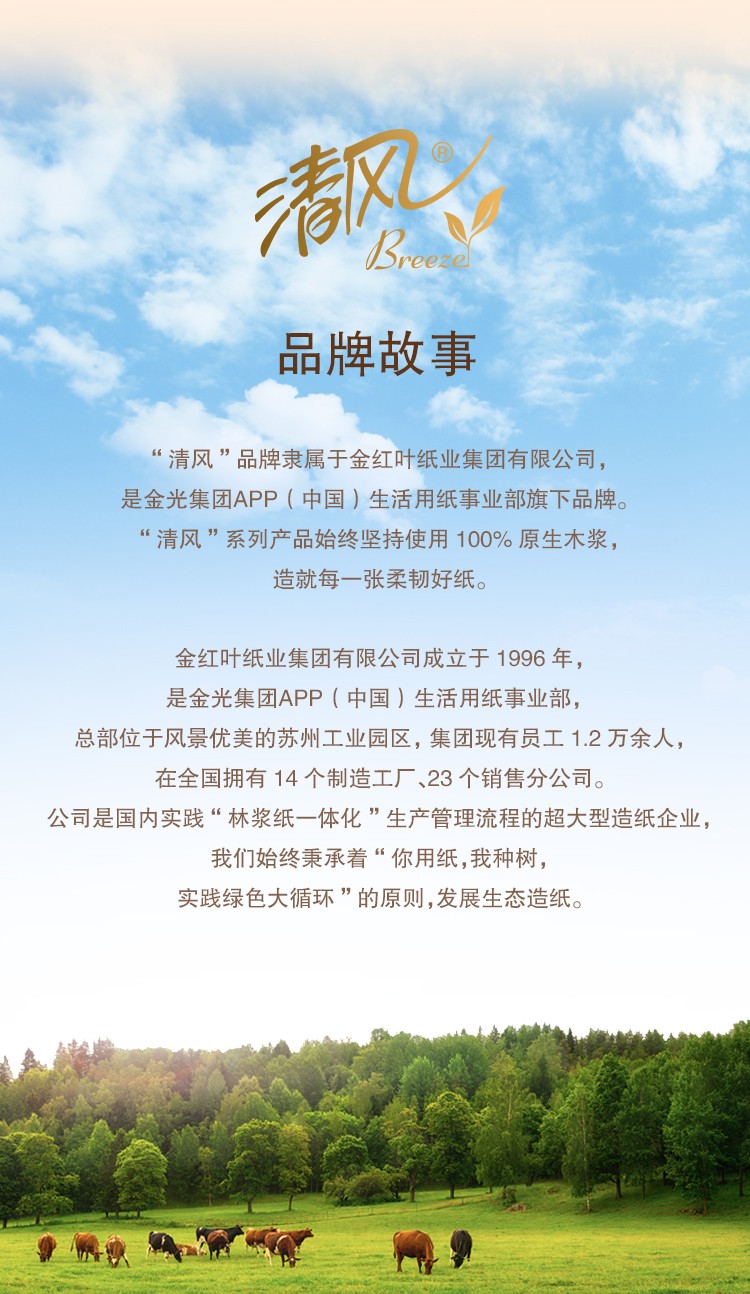 详情图_12_GS20240709000080.jpg