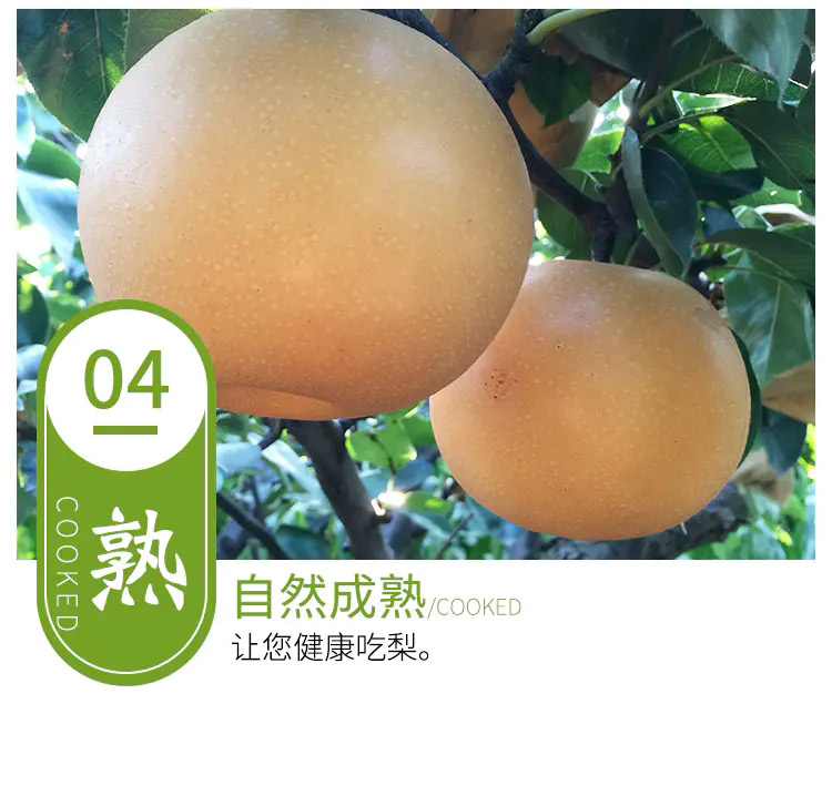 详情图_9_GS20240814000010.jpg