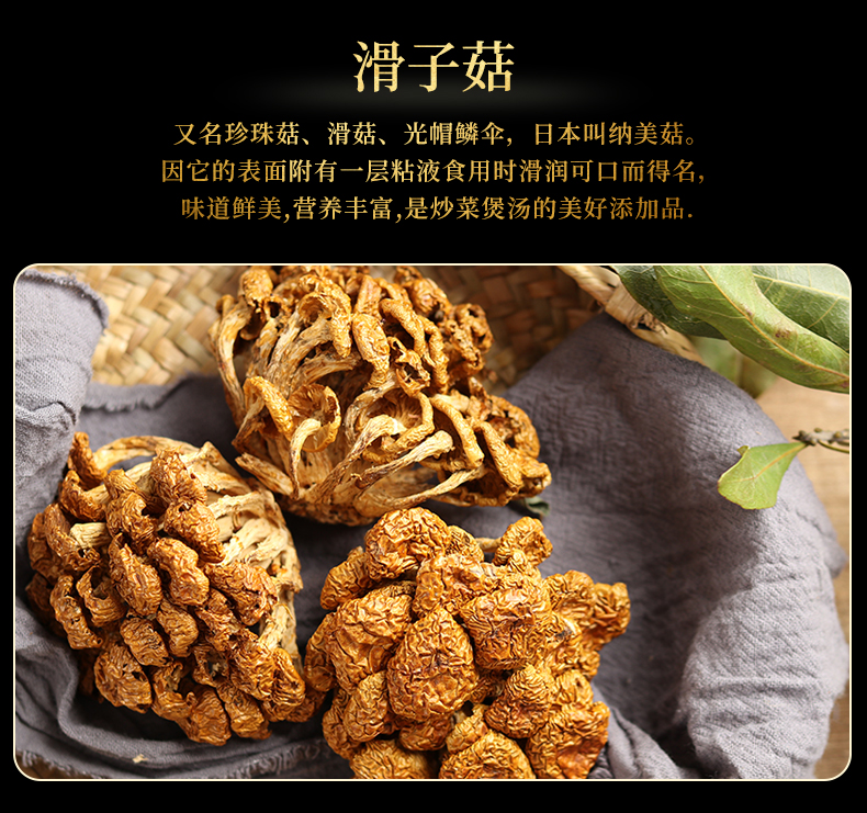 滑子菇2_06-1.jpg